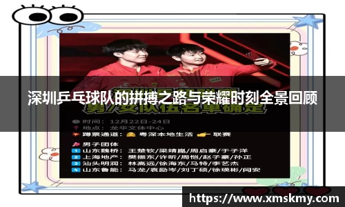 深圳乒乓球队的拼搏之路与荣耀时刻全景回顾
