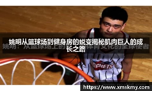 bsports官网